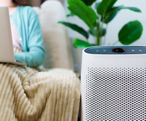 air purifier money
