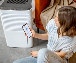 are air purifiers worth the money
