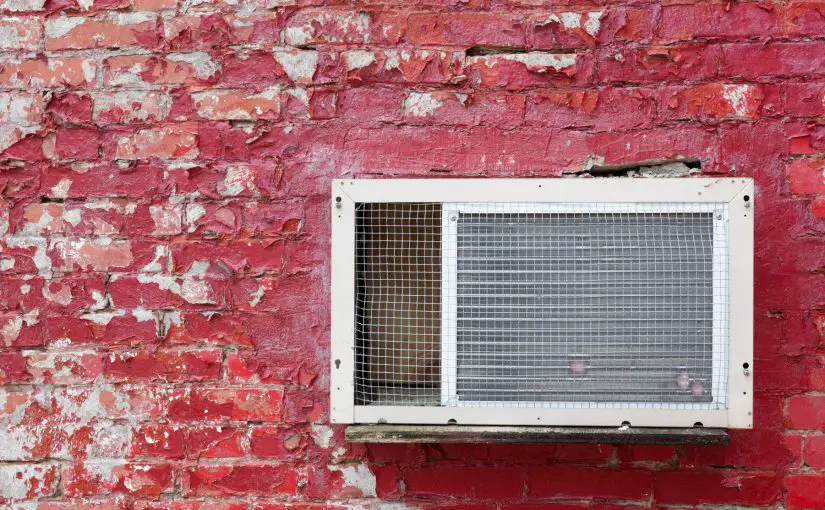 What Kind Of Mold Grows In Window Air Conditioners