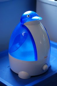 Do You Put Water in a Humidifier