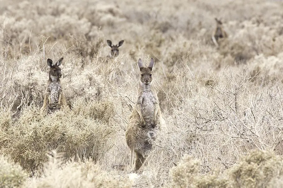 Should I keep on air purifier on the nightstand next to the bed