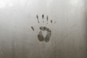 what is a dehumidifier