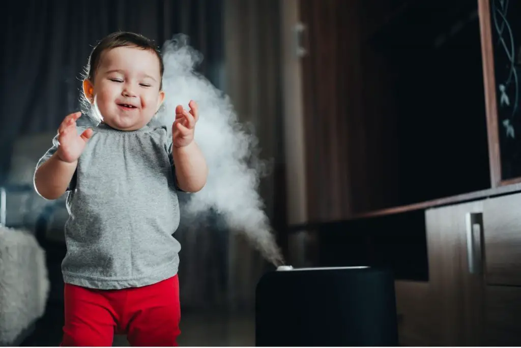 Diffuser vs. Humidifier
