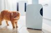 Dehumidifier vs AC – Do Dehumidifiers Cool the Air?