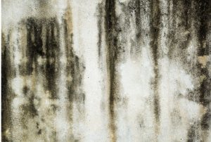 why does my room smell musty