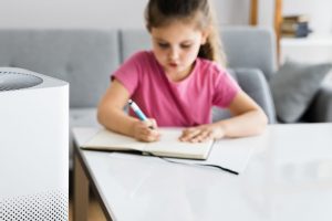 air purifier vs air sanitizer machine