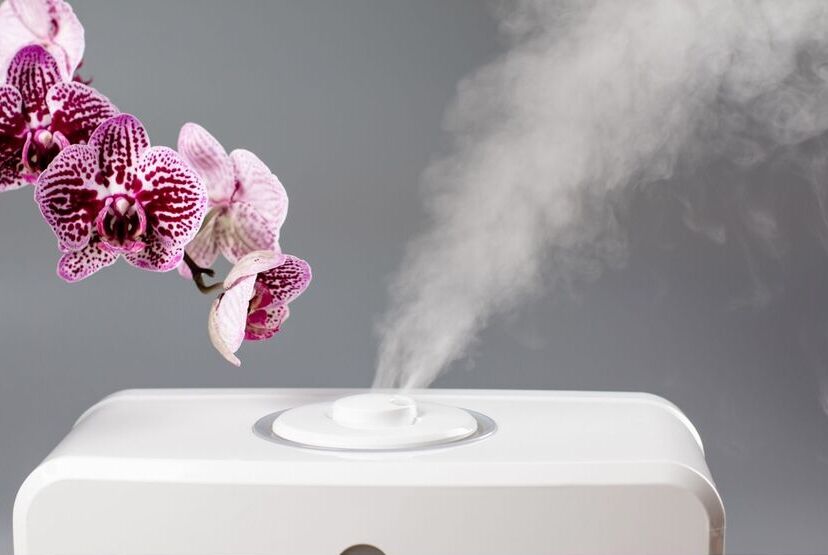 do humidifiers clean the air