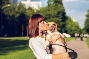 humidifiers for dogs