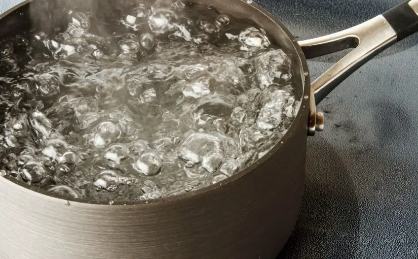 Can I Use Boiled Water in a Humidifier?
