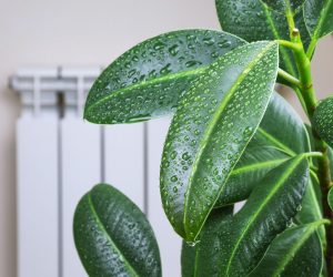 how to reduce humidity in a air cooler