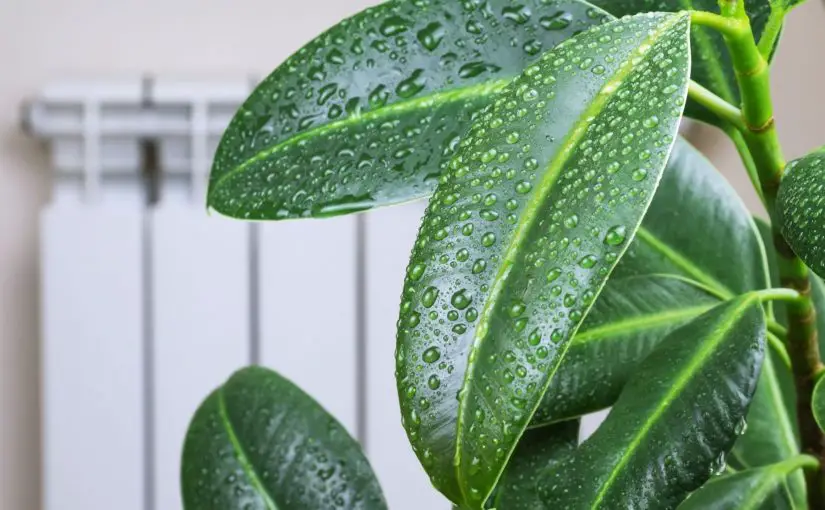 how to reduce humidity in a air cooler