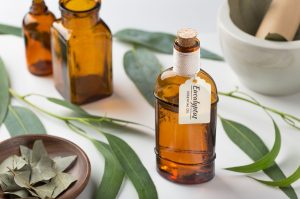warm mist humidifier benefits eucalyptus