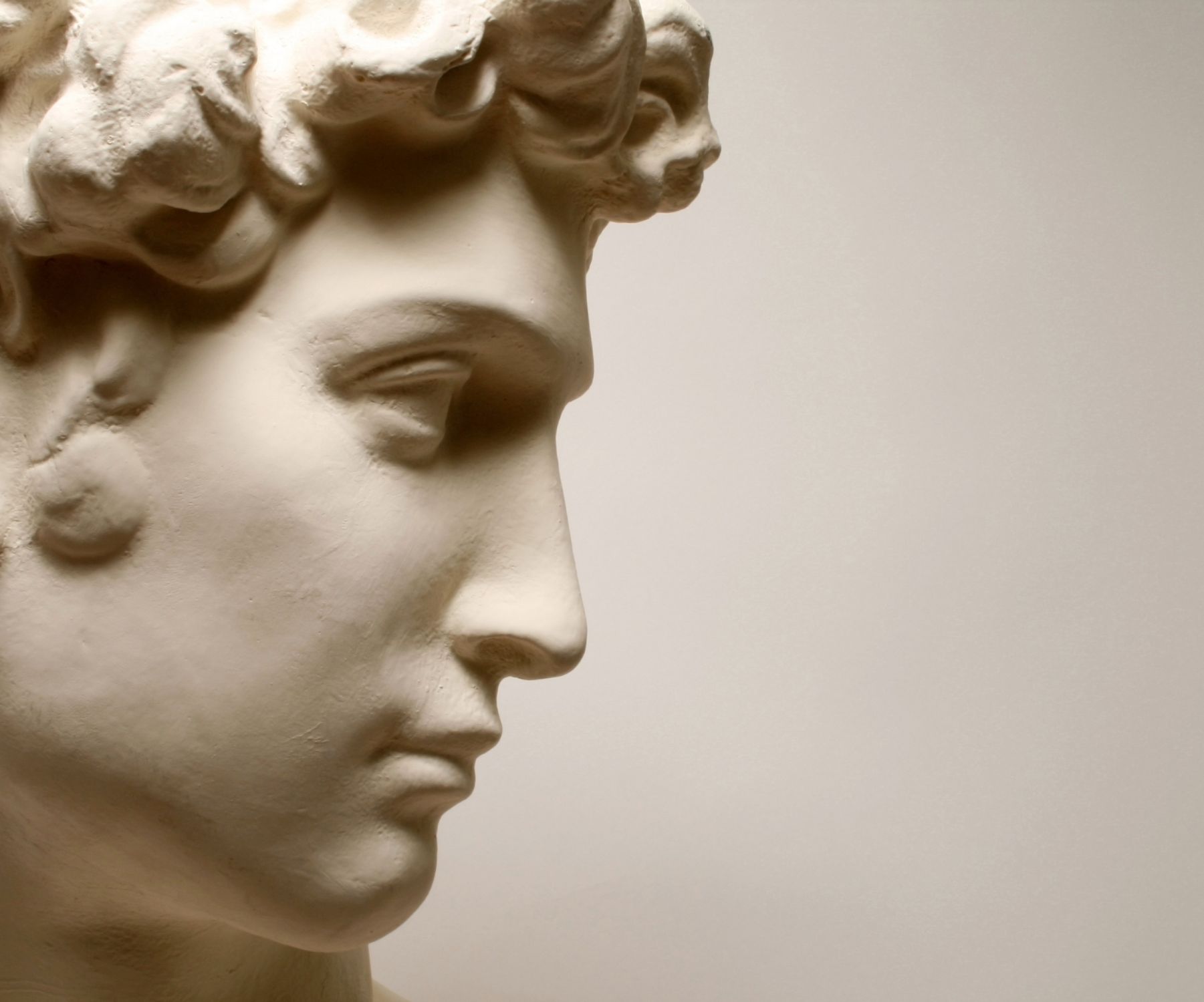 Эстетика в философии это. Бюст Давида Микеланджело. Статуя Давида Эстетика.