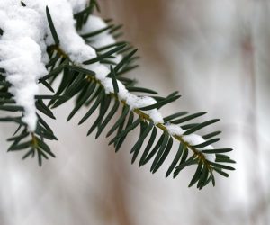 is it safe to sleep with a propane heater