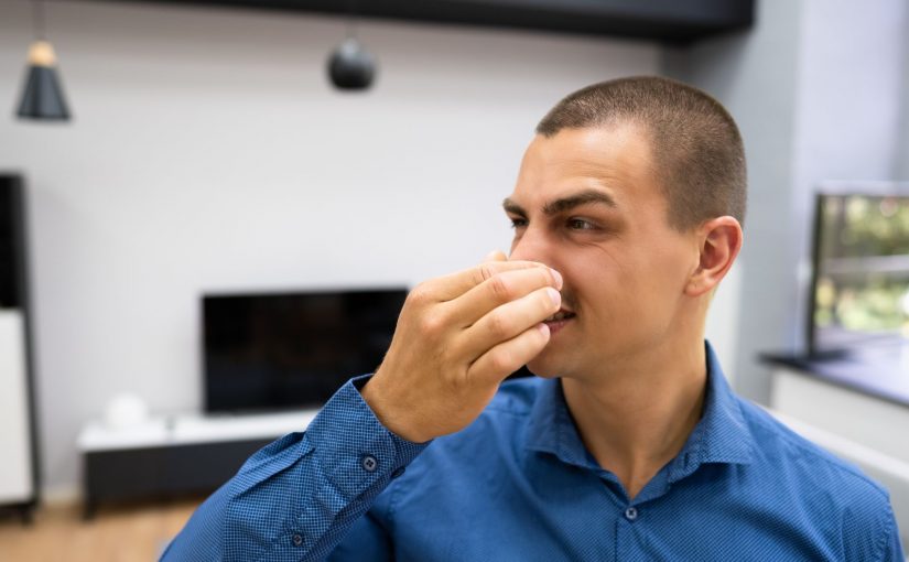 Do Window Air Conditioner Reduce Odors? The Smelly Facts