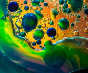 How to Identify and Clean Mold in a Window Air Conditioner