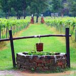 Can I Use a Humidifier With Well Water? Can I Use a Humidifier With Well Water