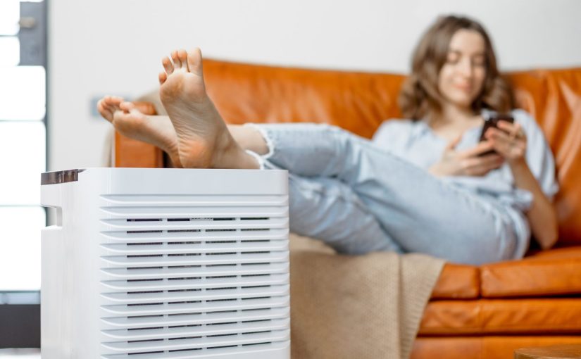 Can a Dehumidifier Dehydrate You? Everything you need to know
