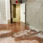 How Does a Dehumidifier Work in a Basement? How Does a Dehumidifier Work in a Basement