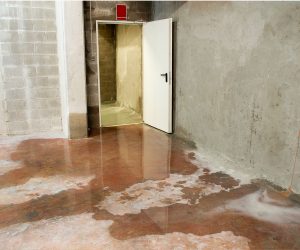 How Does a Dehumidifier Work in a Basement