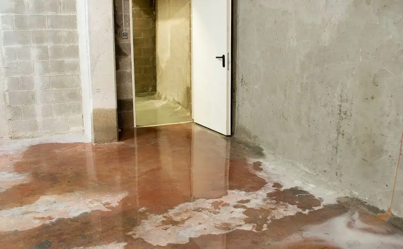 How Does a Dehumidifier Work in a Basement?