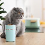 How to Properly Store a Humidifier When Not in Use How to Properly Store a Humidifier When Not in Use