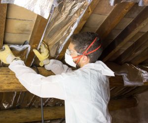 asbestos attic