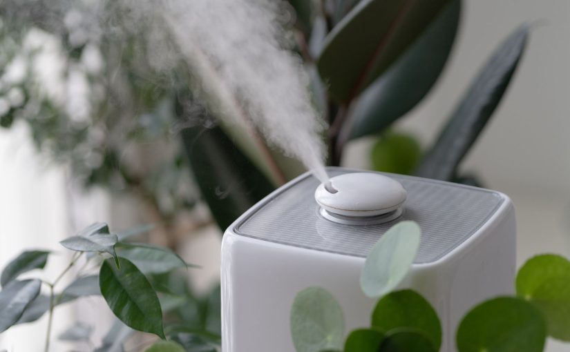 How Do I Know If My Humidifier is Working Properly