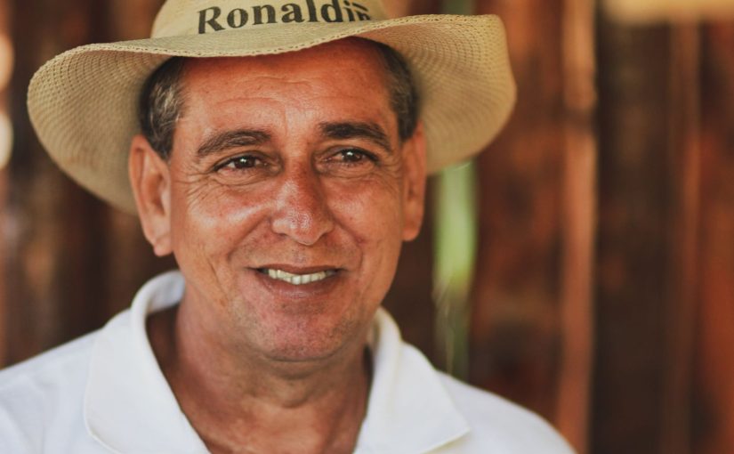 Bypass Humidifiers The Complete Guide to Integrated Whole Home