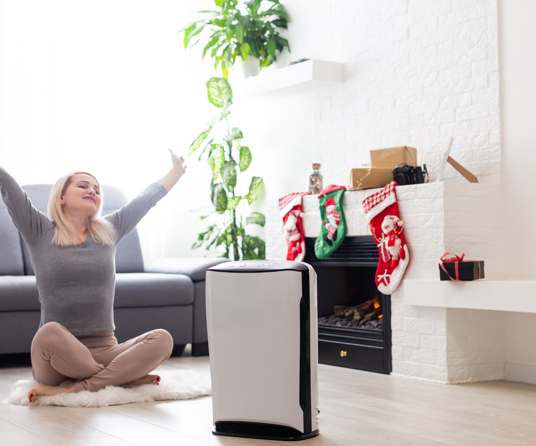 Boneco P500 Air Purifier review